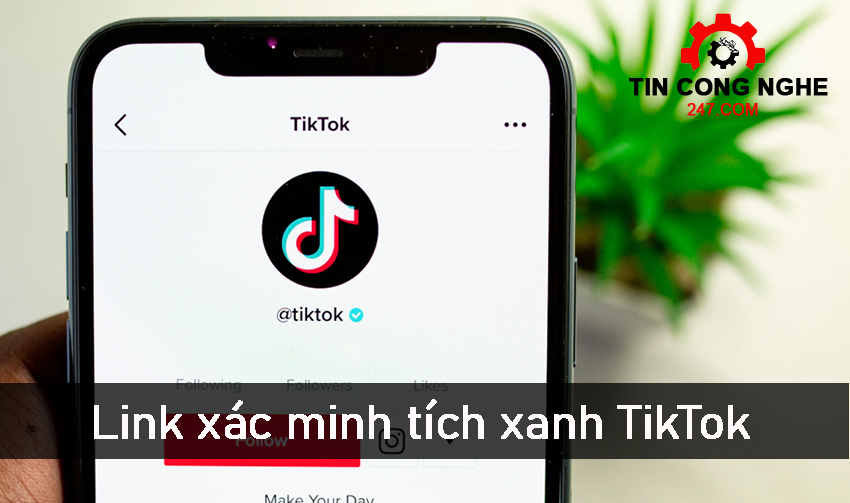 link-xac-minh-tich-xanh-tiktok